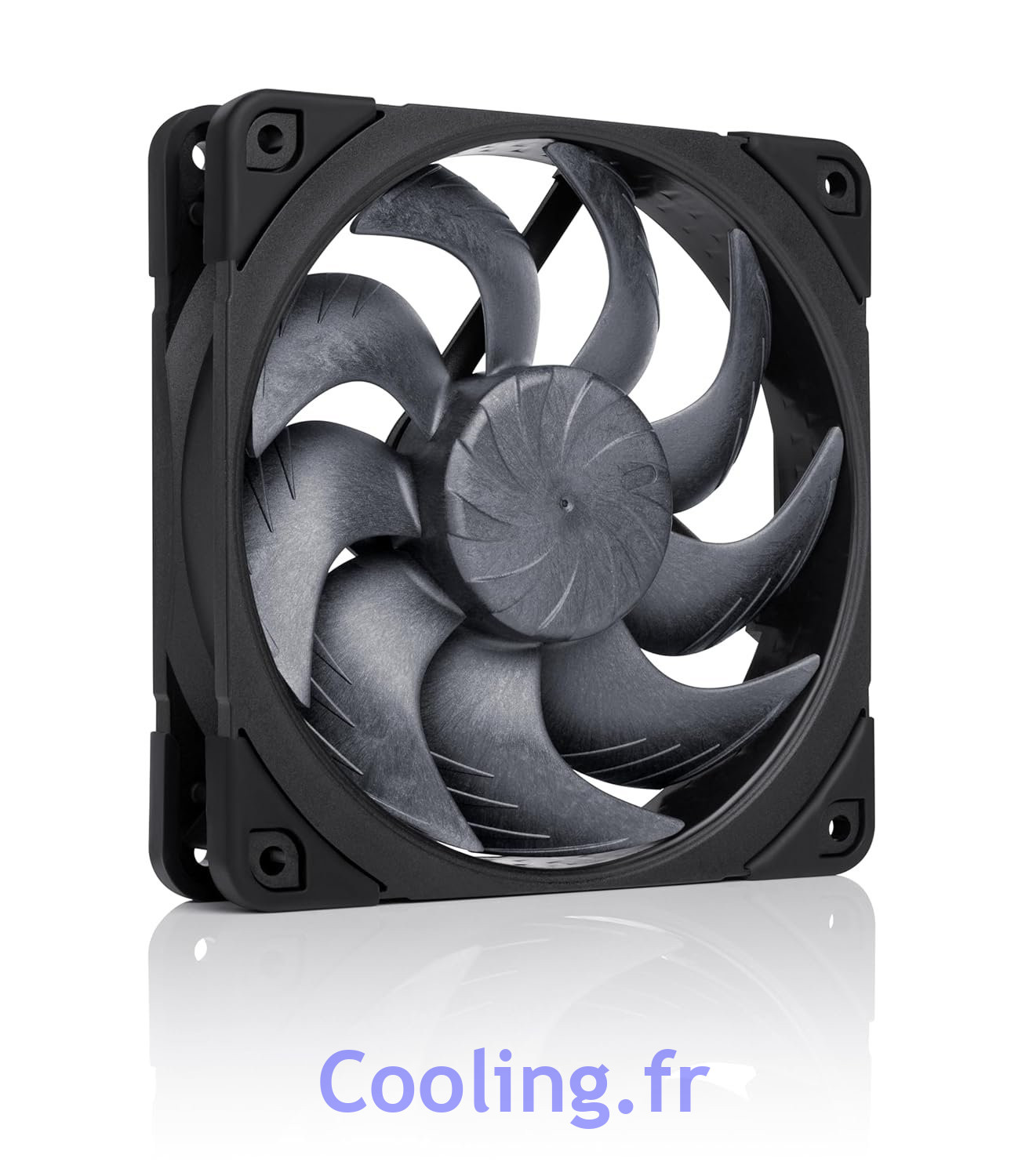Noctua