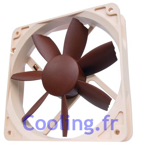 Noctua