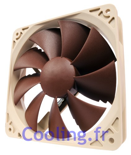 Noctua