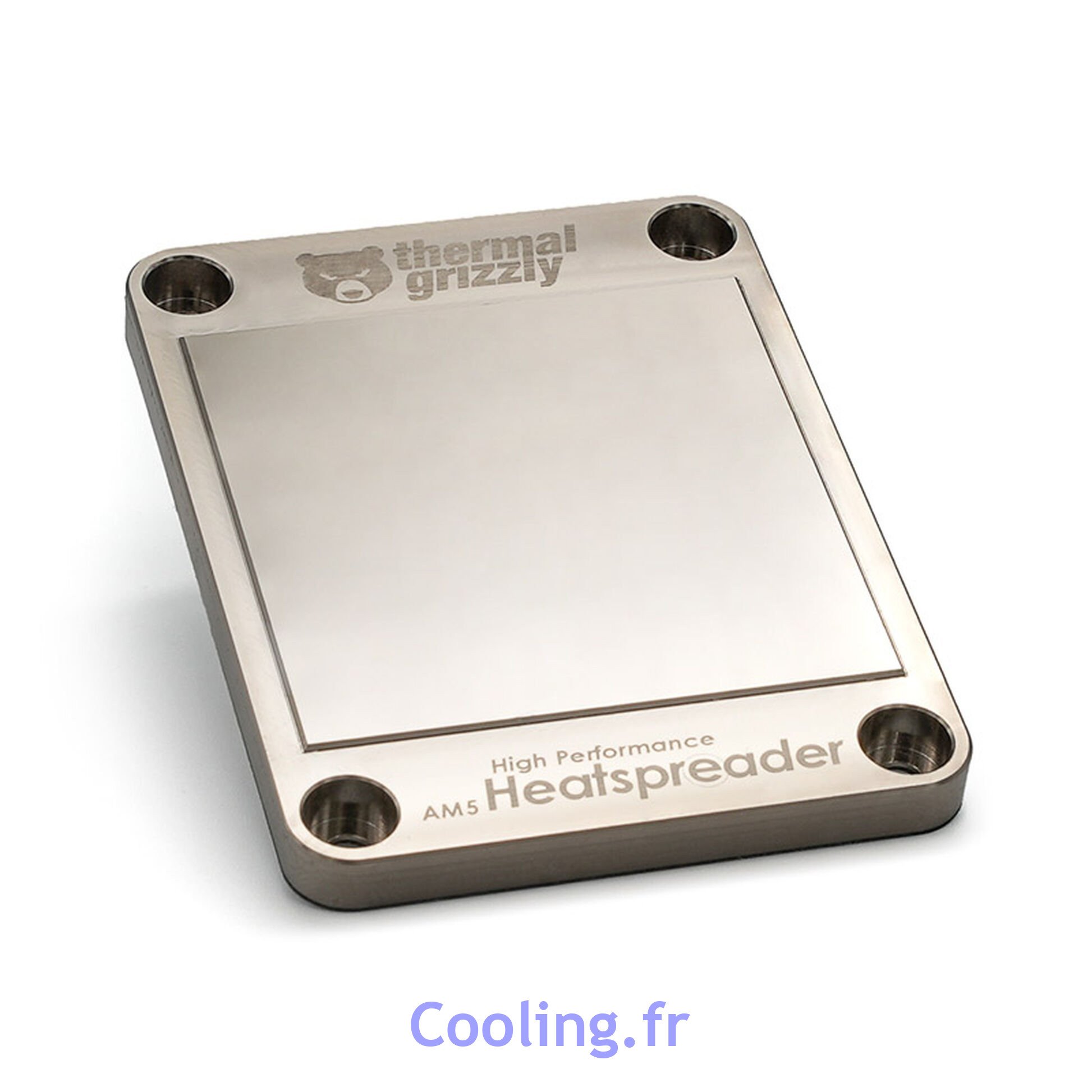 Thermal Grizzly